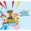 Picture of 2 TODAY PAW PATROL BIRTHDAY CARD